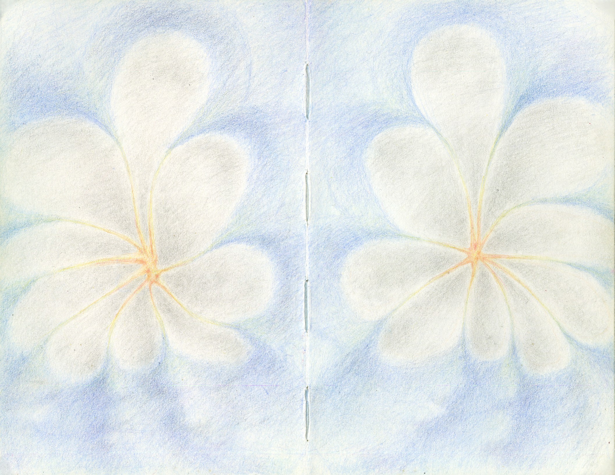 Colored pencil on paper, 7 x 5.5 in