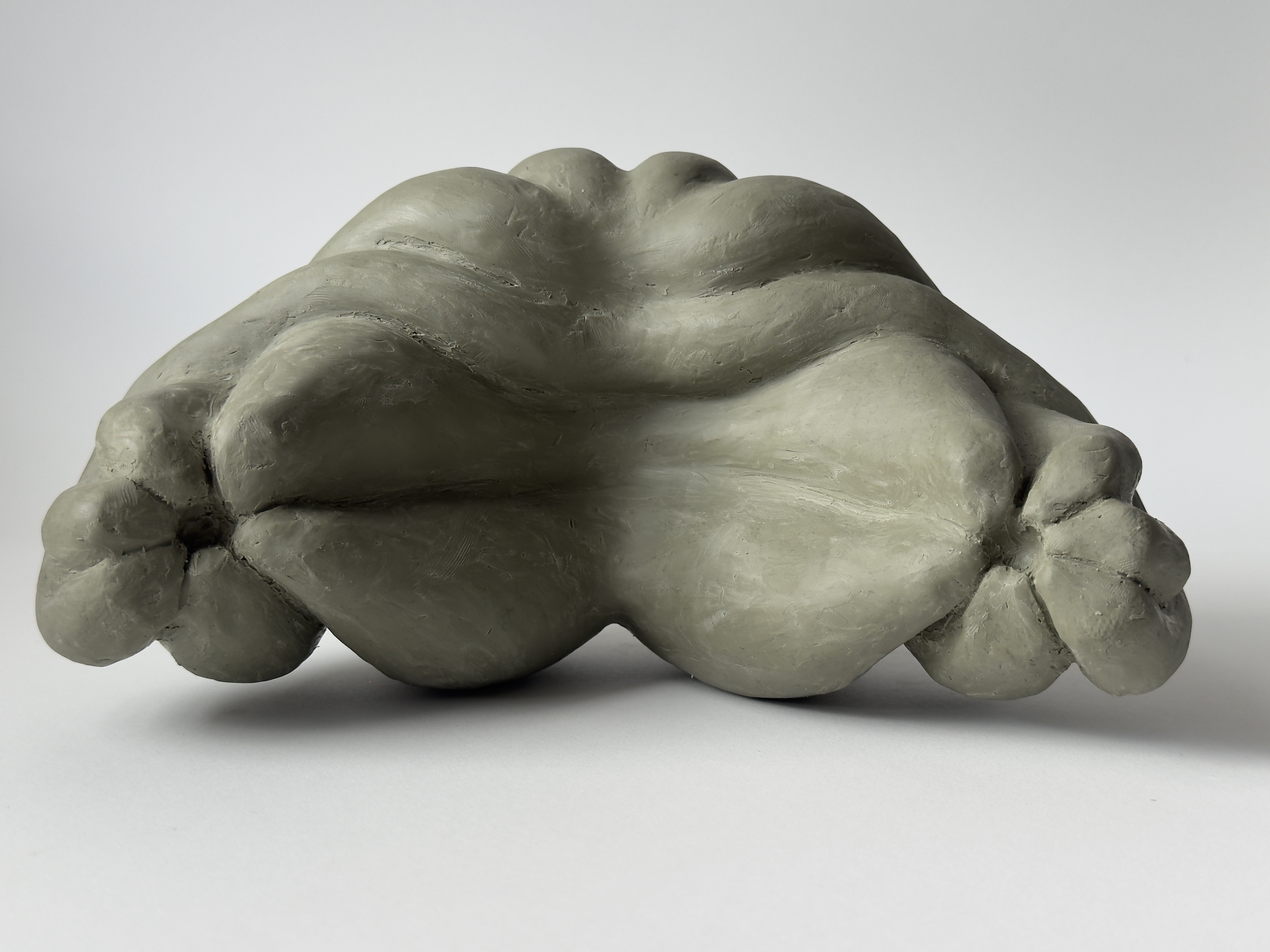 Oil-based clay, 10 x 6 x 5 in